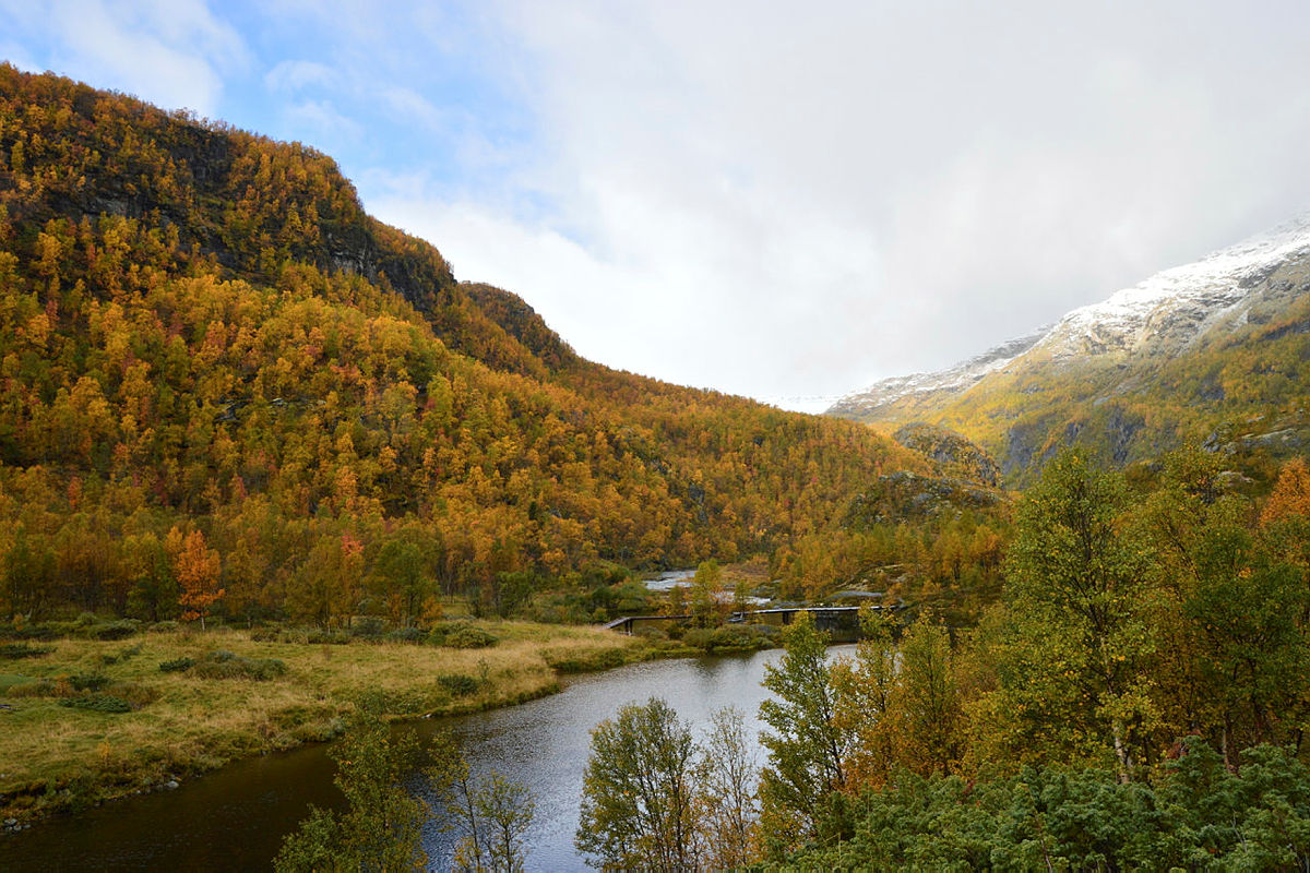 Høsten 2018 i Aurlandsdalen.