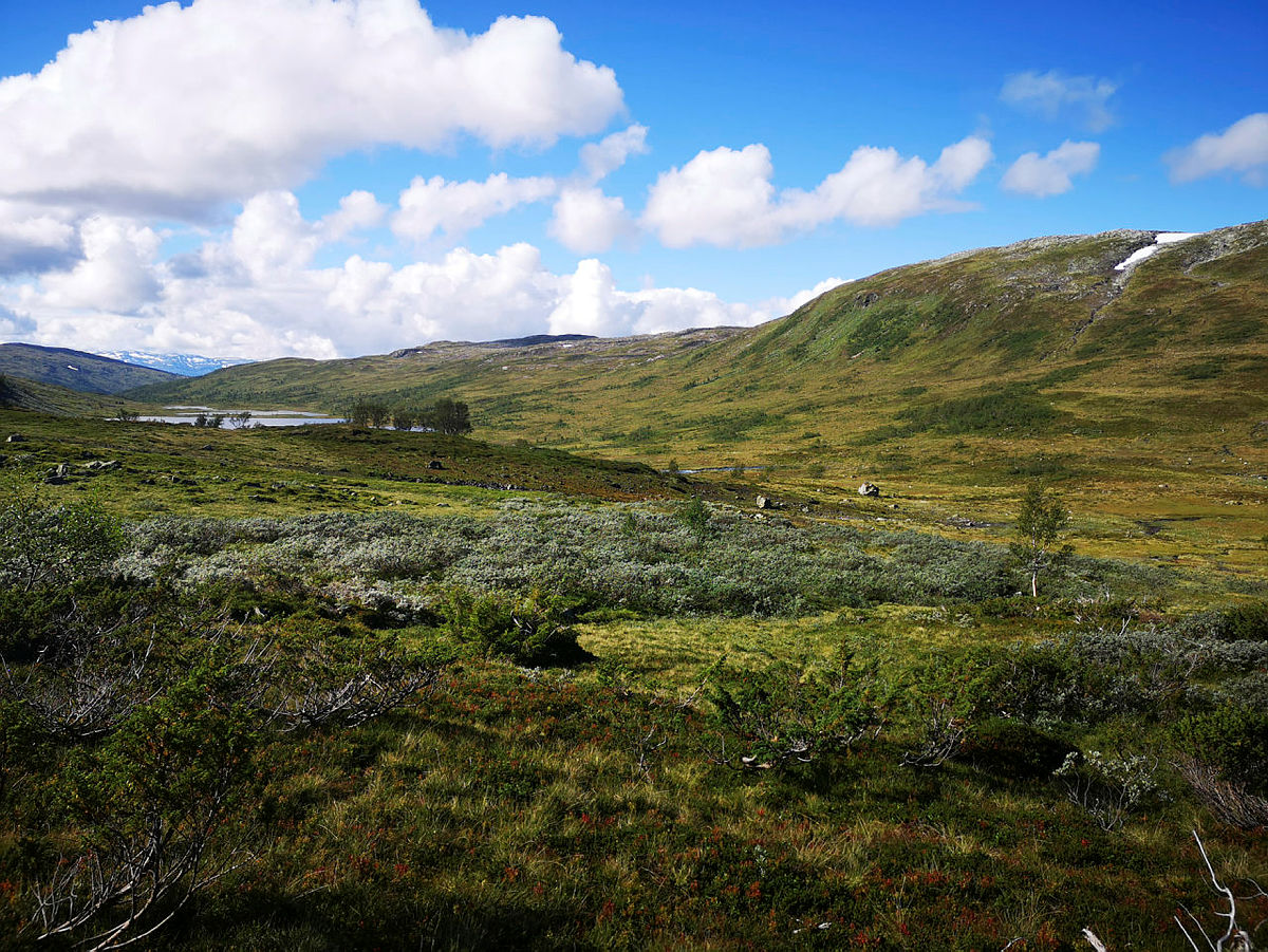 Brandset - Reime, 30. august 2020.