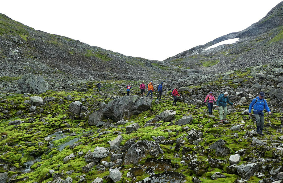 Tur Uppsete - Vatnahalsen, med zipline til Kårdal, august 2021